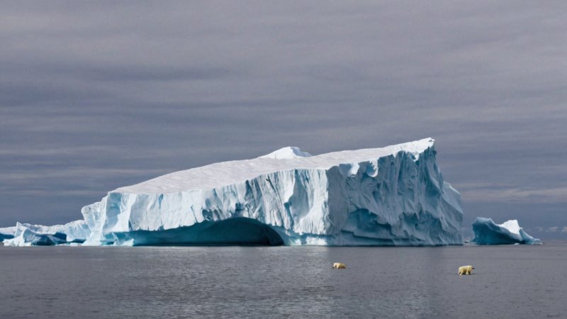 Canadian Arctic, travel guide, polar bears, Inuit culture, adventure travel, nature exploration, wildlife watching, landscapes, northern lights