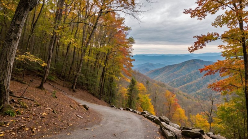 Great Smoky Mountains, Smoky Mountains travel tips, nature escapes, hiking in Smoky Mountains, wildlife viewing, national parks in USA, Clingmans Dome, Cades Cove, waterfalls, wildflowers.